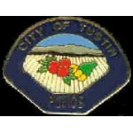 TUSTIN, CA POLICE DEPARMENT MINI PATCH PIN